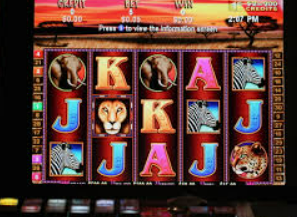 ledong网页版入口2024最新版