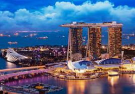 ledong网页版入口手机版