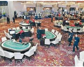 ledong网页版入口桌面版客户端