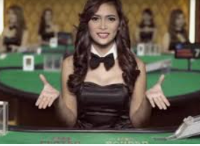 ledong网页版入口免费版